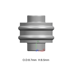 MG681373/RS989-1668