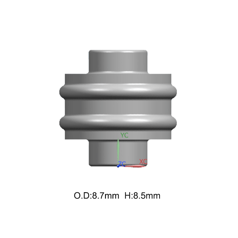 MG681373/RS989-1668