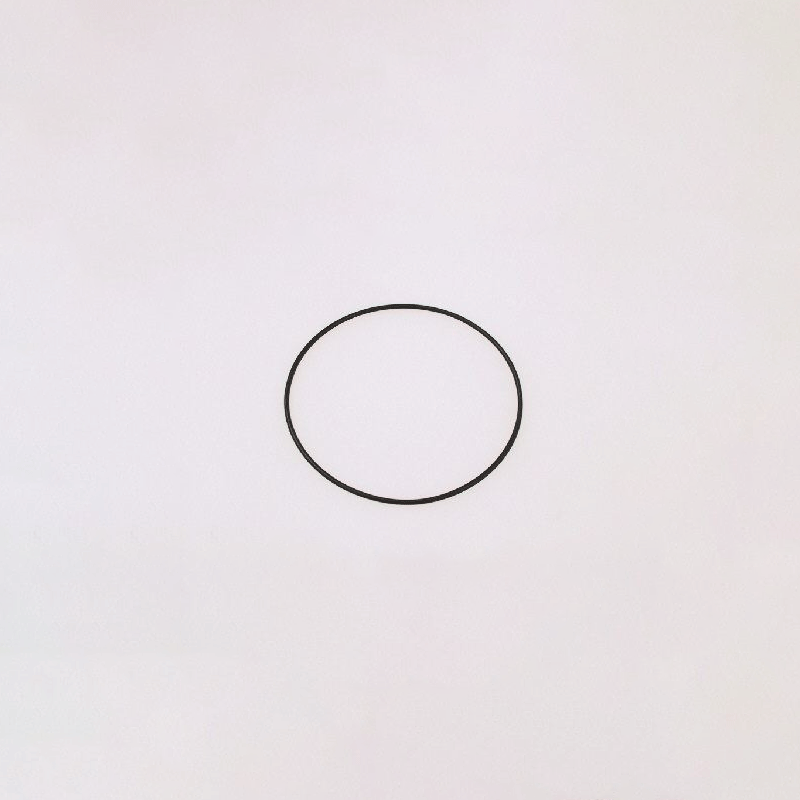 O-ring 46247