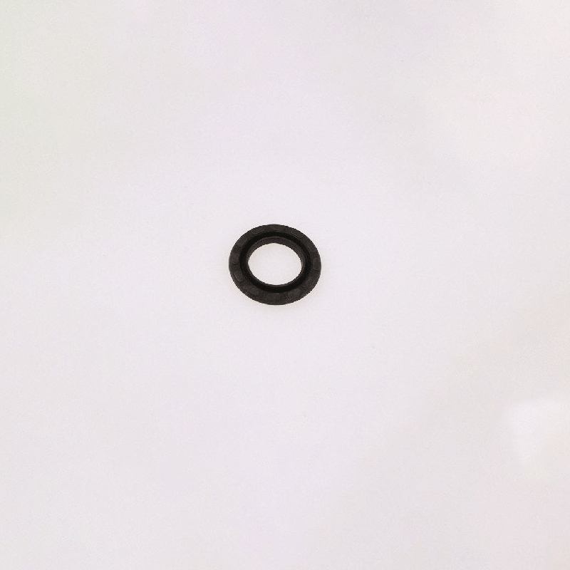 Piston Gasket 10340